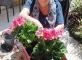 atelier jardinage  Les Jardins des Acacias Saint-Maurice